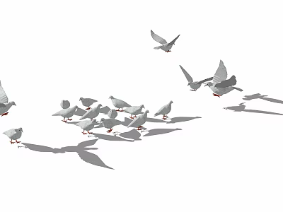 A group of white doves with some flying and others on ground against white background 3d model