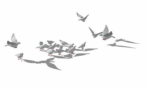 Modern pigeons 3d model