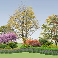 Colorful Garden Flowers And Trees With Purple Blossoms Green Shrubs And Lawn