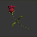 Red Rose With Green Stem And Leaves On Gray Background