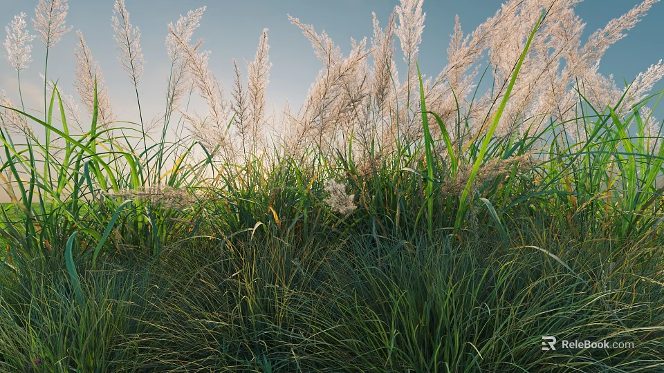 Lush Green Shrubs Thriving In Natural Garden With Sunlight And Blue Sky 3d model 