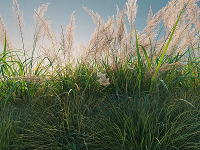 Lush Green Shrubs Thriving In Natural Garden With Sunlight And Blue Sky 3d model