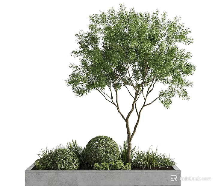 Modern Outdoor Tree Planter With Tree Shrubs Greenery And Concrete Design 3d model