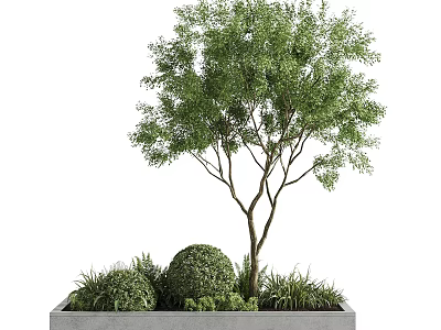 Modern Outdoor Tree Planter With Tree Shrubs Greenery And Concrete Design 3d model