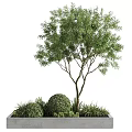 Modern Outdoor Tree Planter With Tree Shrubs Greenery And Concrete Design 3d model