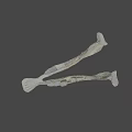 Game Movie Character White Jawbone Skeleton Model With Teeth Structure On Black Background