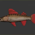 Decorative Brown And Red Fish Ornament With Red Fins And Tail For Household