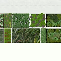 Diverse Living Plant Wall Designs With Varied Greenery For Indoor Outdoor Spaces