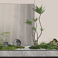 Indoor Green Plants Arrangement With Moss Stones And Slender Leaves In White Planter
