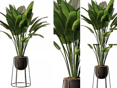Large Green Leaf Potted Plant With Black Pot And Metal Stand For Modern Indoor Decoration 3d model