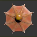 Orange and Pink Octopus Like Creature With Large Eye And Wing Shaped Tentacles