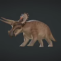 Realistic Triceratops 3D Model With Large Horns Decorative Frill And Textured Body
