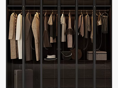 Modern Wardrobe Interior Design With Hanging Clothes And Storage Containers 3d model
