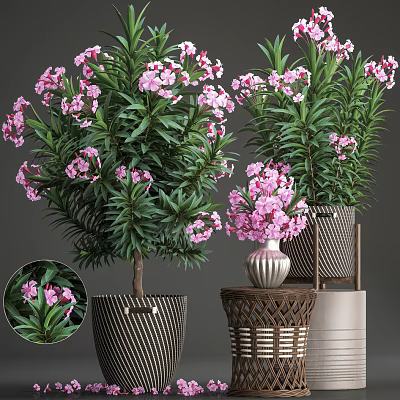 Potted Bonsai Plants with Pink Flowers and Lush Green Leaves in Decorative Planters 3d model