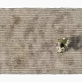 Neutral Tones Square Rug With Horizontal Striped Texture And Fringed Edges Featuring Decorative Flower Bouquet