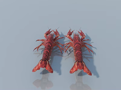 Two Fresh Red Crawfish With Reflection On Light Blue Background 3d model