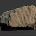 Blue Coral Animal With Honeycomb Like Holes And Red Base Structure