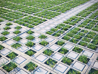 Neatly Arranged Plants Growing In Square Concrete Grids Forming Grid Pattern 3d model
