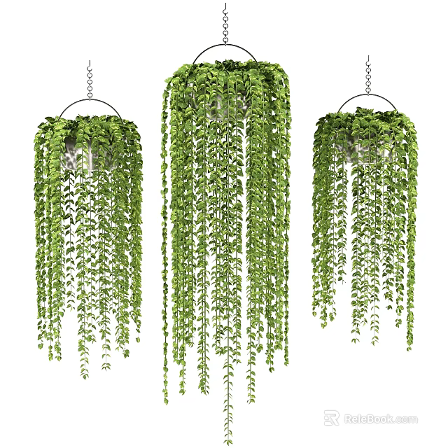 Lush Hanging Basket Plants with Trailing Green Leaves and Vibrant Foliage for Indoor Decor 3d model 