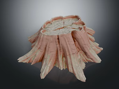 Textured Plant Trunk Stump with Pinkish Brown and White Surfaces Showing Natural Details 3d model