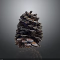 Pine Cone Inspired Food Creation With Natural Organic Shape 3d model