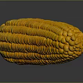 Yellow Corn Shaped Sculpture Carving With Granular Texture And Reflection On Grey Background 3d model