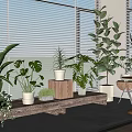 Lush Home Balcony With Green Potted Plants Window Blinds Wooden Tray And Small Table