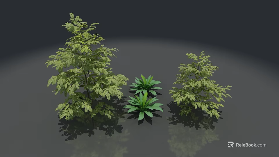 Three Lush Green Plants with Different Leafy Structures and Decorative Foliage 3d model 