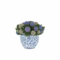 Elegant Potted Hydrangea Plant With Blue And White Patterned Pot And Purple White Green Leaves