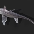 Strange Aquatic Animal With Large Eyes And Silverish Gray Body Features Unique Fins