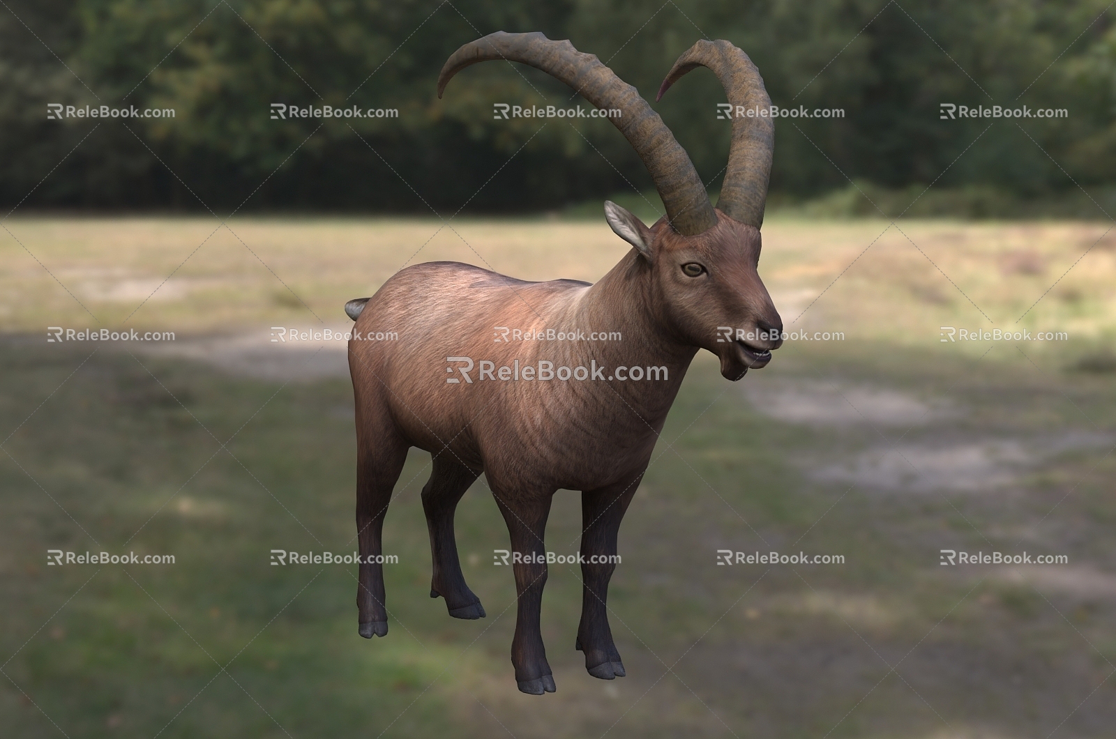 Alpine Goat Subtype Sheep Northern Goat Alpine Wild Goat Capra Northern Goat Alpine Wild Goat Animal Creature 3d model