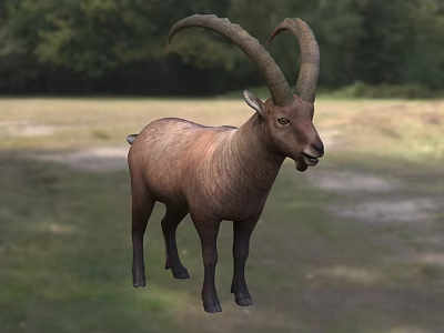 Brown Goat With Large Curved Horns Standing On Grassland Near Trees 3d model Brown Goat With Large Curved Horns Standing On Grassland Near Trees 3d model