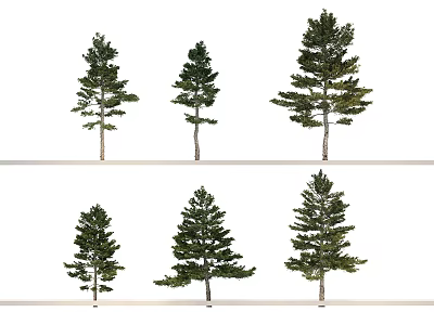 Arbor Trees Display With Various Heights And Diverse Foliage Shapes 3d model