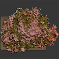 Pink Flowering Bonsai Tree With Sculpted Trunk In Square Mossy Pot