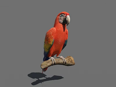 Vibrant Red Parrot With Colorful Yellow Green Wings Perched Gracefully On Wooden Branch 3d model