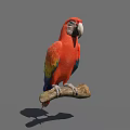 Vibrant Red Parrot With Colorful Yellow Green Wings Perched Gracefully On Wooden Branch