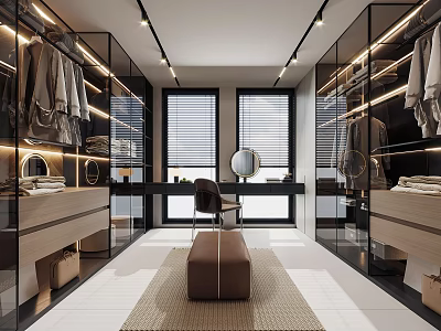 Modern Walk In Closet Interior With Glass Cabinets Lighting And Windows 3d model