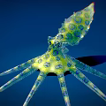Green and Yellow Octopus with Blue Spots and Long Slender Tentacles on Deep Blue Background