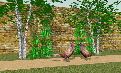 Modern animal pheasant 3d model