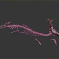Animal Skeleton Home Decoration With Deer Antlers And Long Spine On Grey Surface