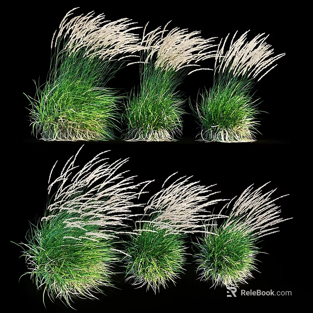 Decorative Ornament Set With Green Grass Clusters And White Plumes For Home Decor 3d model 