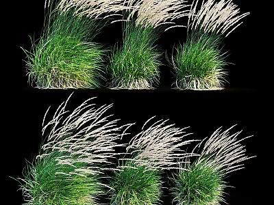 Decorative Ornament Set With Green Grass Clusters And White Plumes For Home Decor 3d model