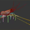 Detailed 3D Rendered Shrimp With Long Antennae And Blue Claws In High Definition Close Up