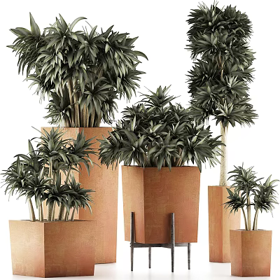 Stylish Bonsai Plants in Terracotta Planters with Lush Green Foliage for Home Decor 3d model