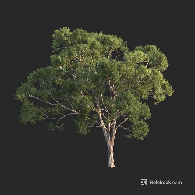 Tall Arbor Tree With Lush Green Foliage And Sturdy Trunk In Natural Scene 3d model 