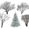 Snow Covered Deciduous And Evergreen Trees In Winter 3d model