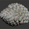 Natural Pine Cone With Pinkish Gray And Blue Bumpy Textured Surface And Scaly Details