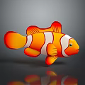 Beautiful Vibrant Orange and White Striped Clownfish Marine Aquatic Animal
