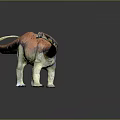 Colorful Sauropod Dinosaur Model With Long Neck Long Tail And Dark Background
