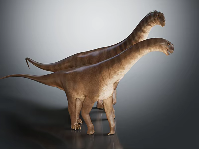 Two Long Neck Dinosaurs Standing On Gray Background With Brown Skin 3D Render 3d model